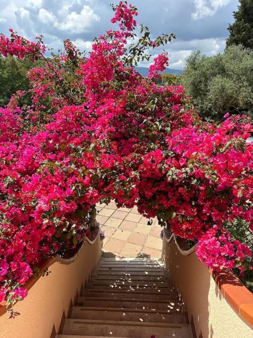 Casa Vacanze La Brii Iglesias Luaran gambar